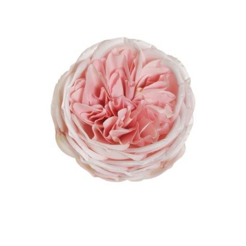 PICK ROSA AUSTIN D10 H5 PINK